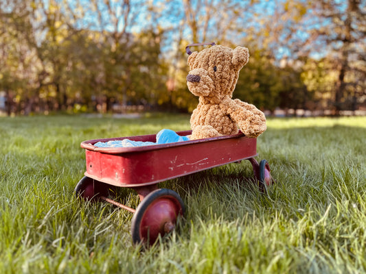 Lost Sock Snugglers: Bear