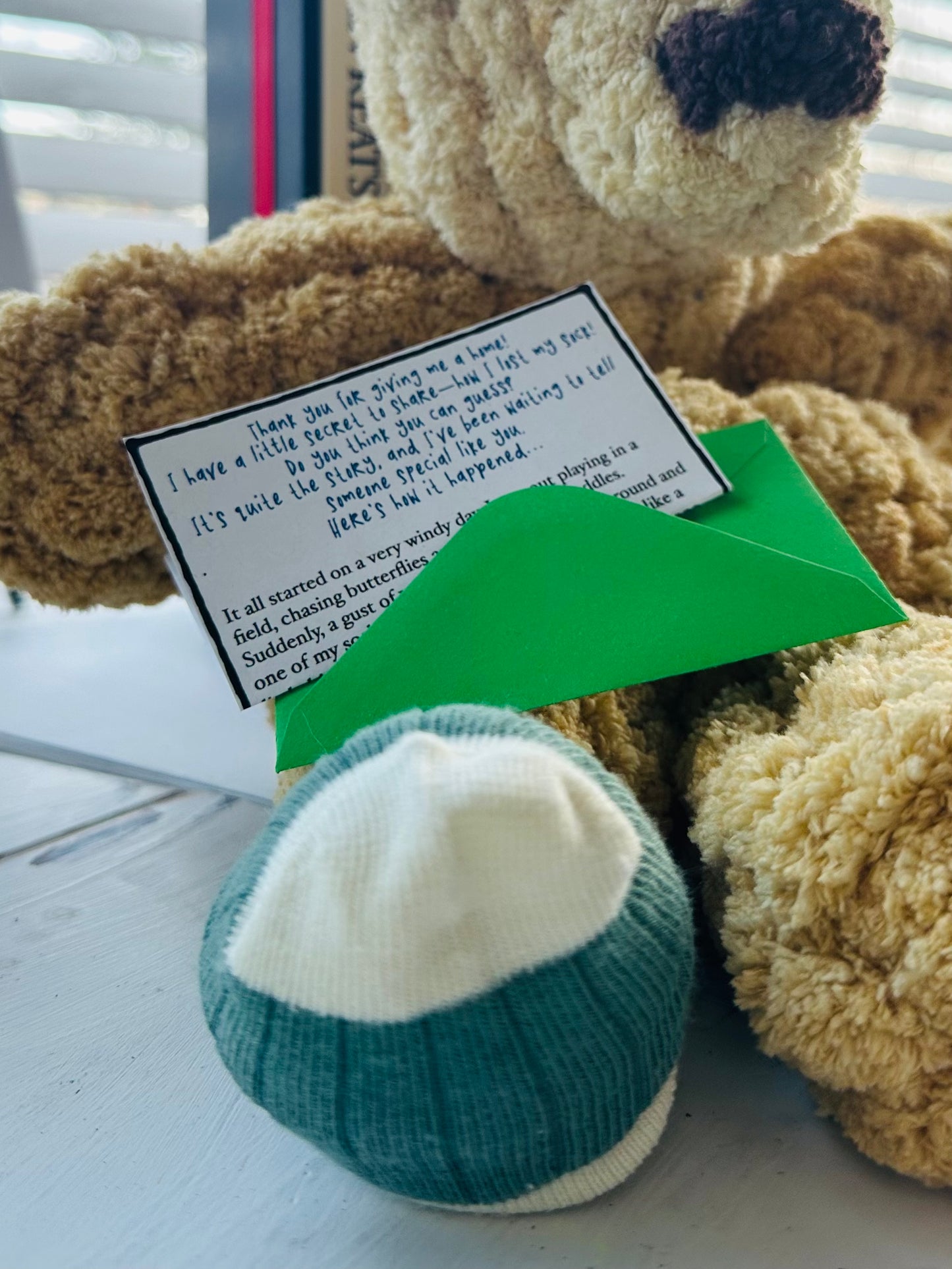 Lost Sock Snugglers: Sea Turtle