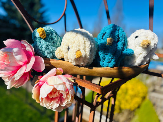 Birds and Chicks: Minis