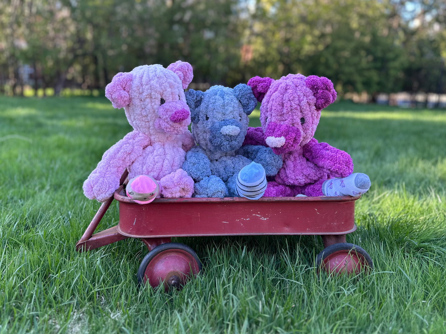 Lost Sock Snugglers: Bear