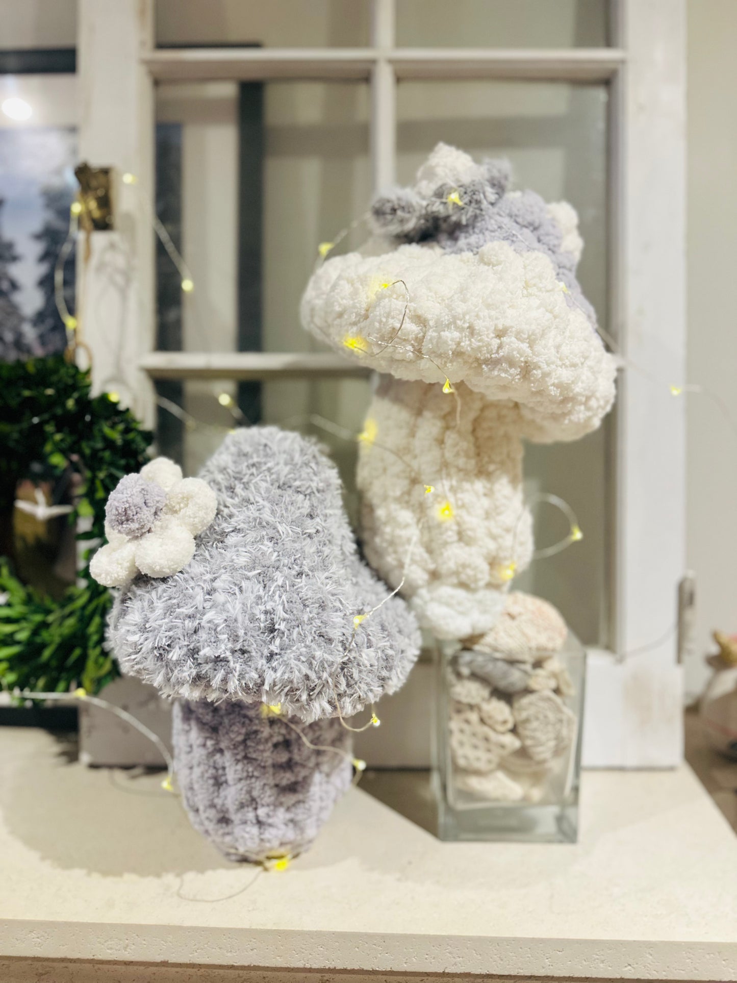 Snugglecaps Mushrooms